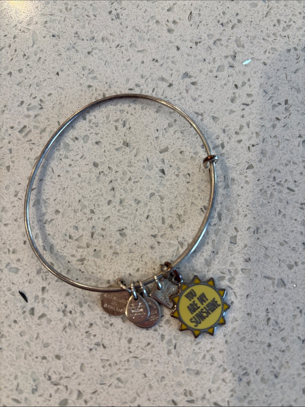 Alex and Ani Silver Bangle Bracelet with You are my Sunshine Charm